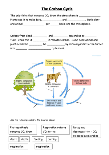 ks3-the-carbon-cycle-teaching-resources