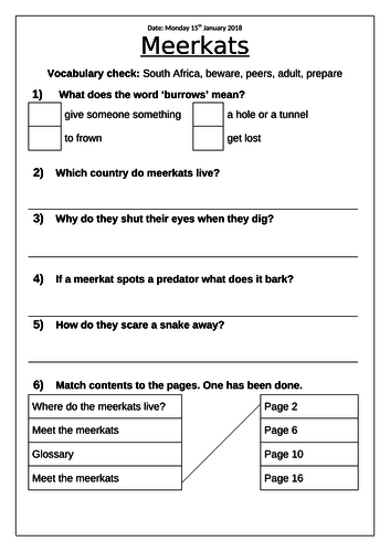 Comprehension - Phonic Bugs - Meerkats - Green Band - Phase 5