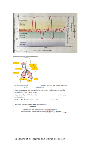 docx, 1.35 MB