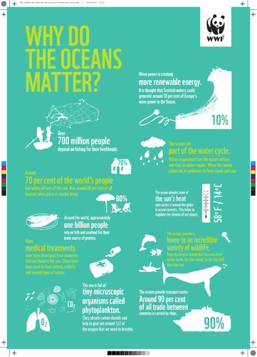 WWF Oceans and Plastics - KS2 Activity set | Teaching Resources