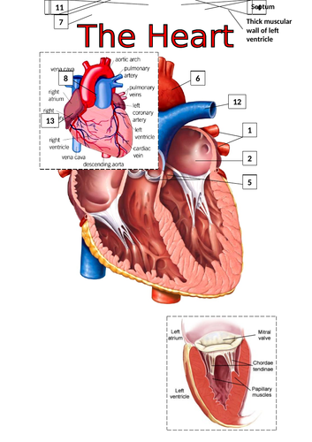 doc, 691.5 KB