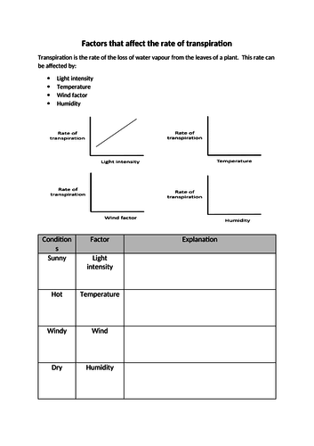 docx, 44.26 KB