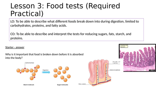 KS4 Food tests practical lesson