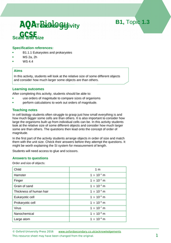 GCSE Biology 4.1 Cell Magnification Calculations | Teaching Resources