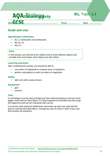 GCSE Biology 4.1 Cell Magnification Calculations | Teaching Resources