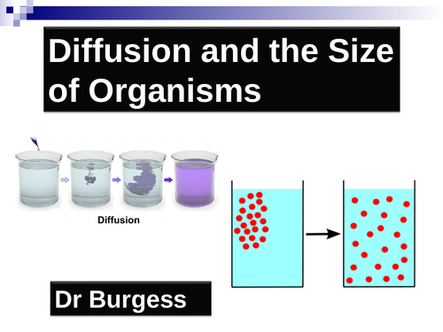 GCSE Biology 4.1 Diffusion and Gas Exchange + extra lesson | Teaching ...