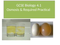 GCSE Biology 4.1 Osmosis and Required Practical | Teaching Resources