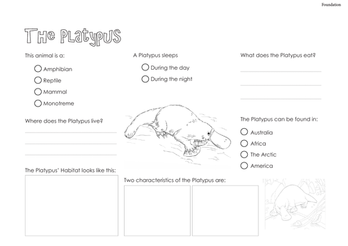 Platypus - Information Text