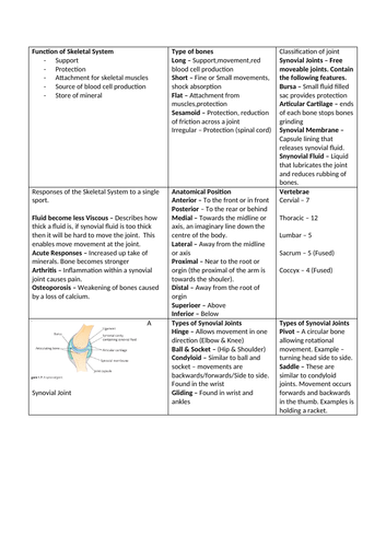 BTEC SPORT Unit 1 EXAM REVISION RESOURCE LEVEL 3 | Teaching Resources