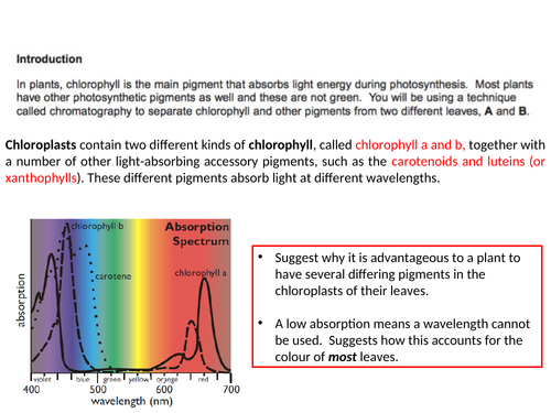 AQA A LEVEL BIOLOGY - PHOTOSYNTHESIS FULL SCHEME OF WORK (+ REQUIRED ...