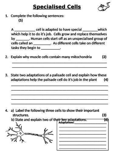 NEW AQA GCSE Trilogy (2016) Biology - Specialised Cells Homework