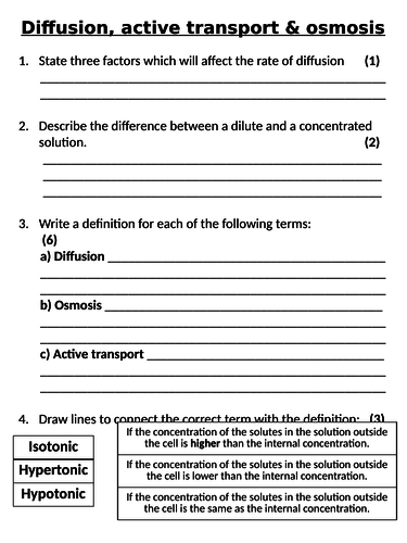 NEW AQA GCSE Trilogy (2016) Biology - Diffusion, Osmosis & Active Transport Homework