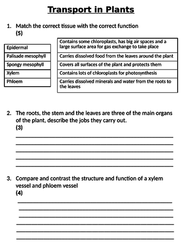 NEW AQA GCSE Trilogy (2016) Biology - Transport in Plants Homework