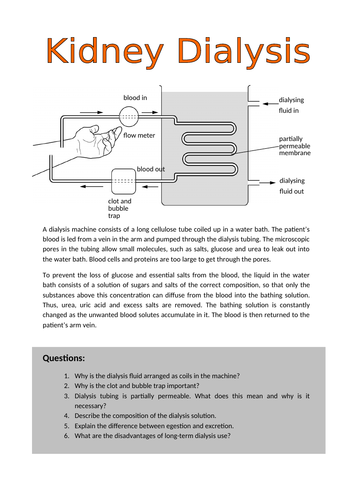 Homeostasis - A complete set of resources for AQA AS/A-Level Biology