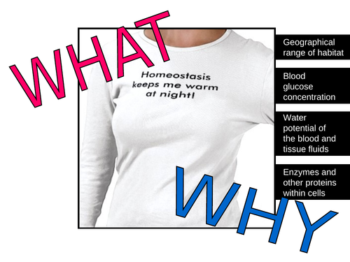 Response to Stimuli, Nerves and Muscles - A complete set of resources ...