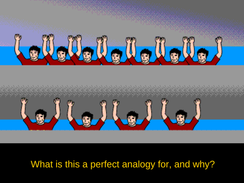 Response to Stimuli, Nerves and Muscles - A complete set of resources ...