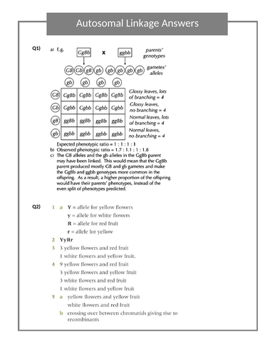 docx, 605.59 KB