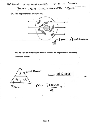 pdf, 123.25 KB