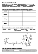 AQA GCSE PSYCHOLOGY (9-1) - Neuropsychology - Neurons | Teaching Resources