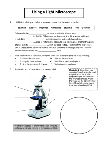 Cells and Microscopes - A complete set of resources for Year 7 ...