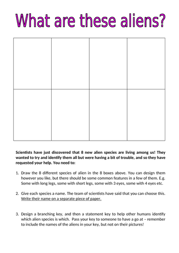 year 7 classification assignment