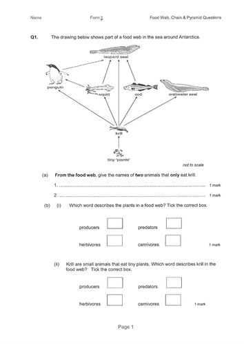 year 7 classification assignment