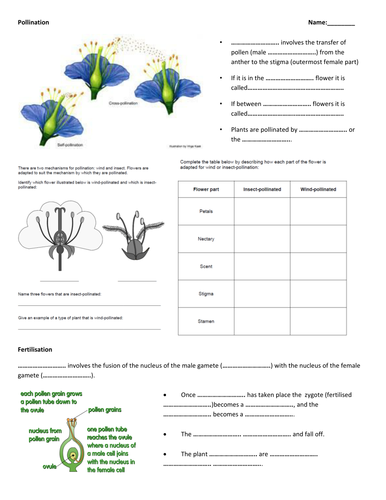 Plant Reproduction - Sexual and Asexual | Teaching Resources