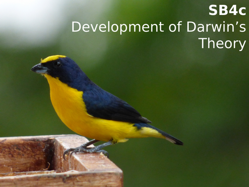 Edexcel SB4c Development of Darwin's Theory
