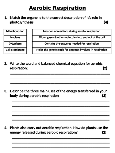 NEW AQA GCSE Trilogy (2016) Biology - Aerobic Respiration Homework