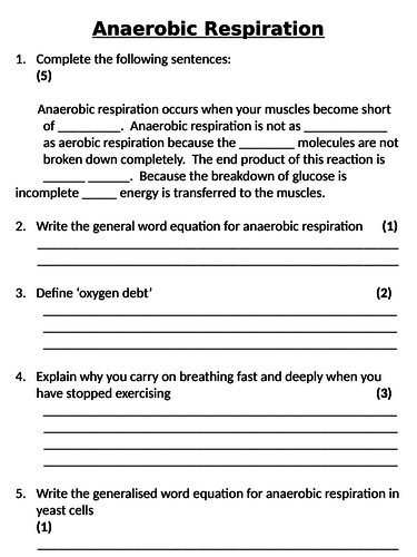 NEW AQA GCSE Trilogy (2016) Biology - Anaerobic Respiration Homework