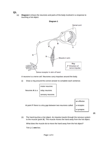 docx, 71.5 KB