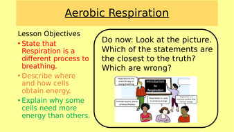 Aerobic Respiration | Teaching Resources