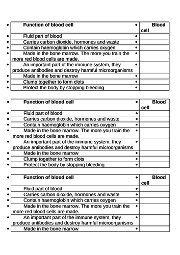 docx, 17.29 KB