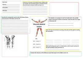 Edexcel GCSE PE Musculo - skeletal system revision map | Teaching Resources