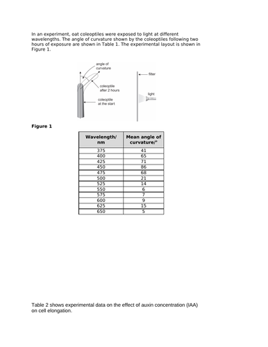 docx, 173.68 KB