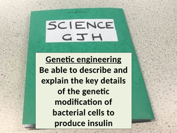 Genetic engineering (A-level) by GJHeducation | Teaching Resources