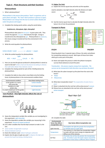 Biology edexcel CB6 plants and structures revision overview and cheat sheet