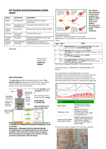 Biology edexcel paper 2 complete revision | Teaching Resources