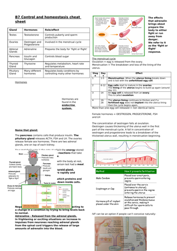 Biology edexcel CB7 control and homeostasis revision overview and cheat sheet