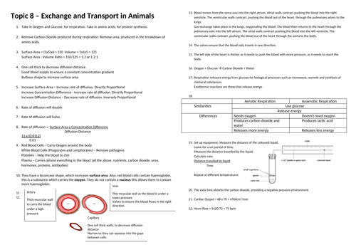 Biology edexcel CB8 Transport in animals revision overview and cheat sheet
