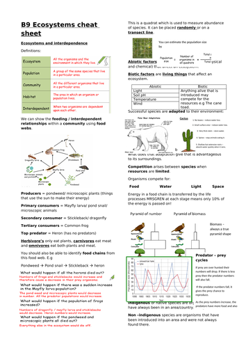 Biology edexcel paper 2 complete revision | Teaching Resources