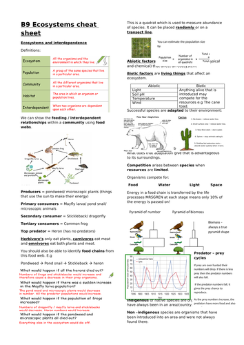 Biology edexcel CB9 Ecosystems revision overview and cheat sheet