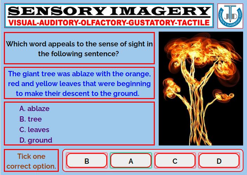 sensory-imagery-worksheets-with-answers-teaching-resources
