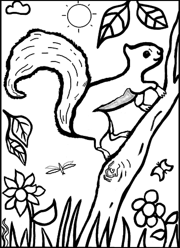 Squirrel in Woods Colouring Sheet