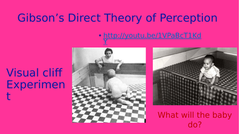 gibson theory perception direct psychology aqa spec gcse resources teaching
