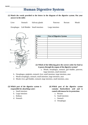 docx, 324.49 KB