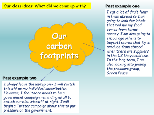 carbon footprint essay summary