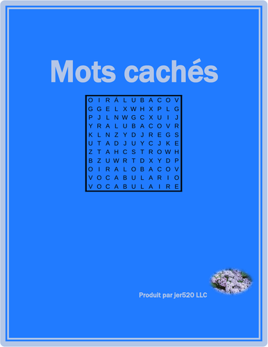 Bien Dit 1 Chapitre 7 Wordsearch