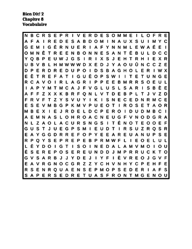 Bien Dit 2 Chapitre 8 Wordsearch