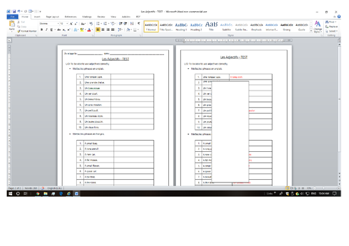 FRENCH Adjectives (BAGS) Les Adjectifs Worksheets